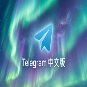 Telegram 中文版如何设置账号自动销毁时间？（常见问题） - Telegram 官网